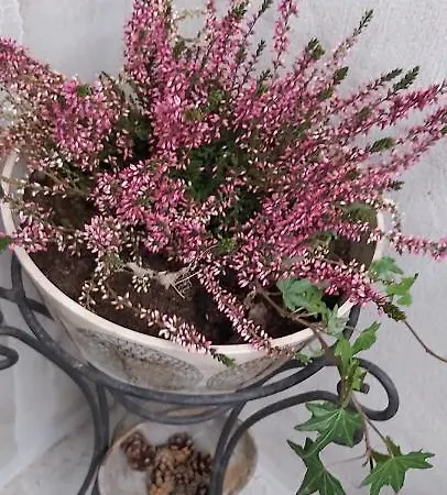 Tyynynpaikka * Tampere